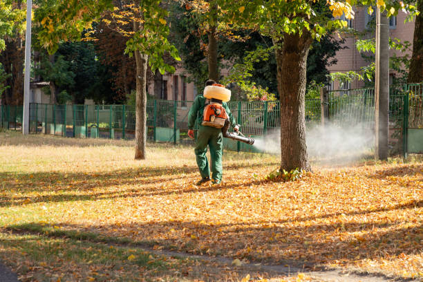 Best Pest Inspection Near Me  in King Cove, AK